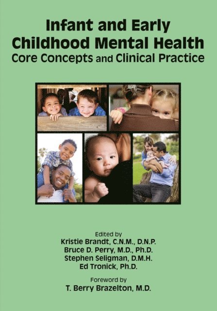 Ed Tronick, Stephen Seligman, Bruce D. Perry, Kristie Brandt - Infant and Early Childhood Mental Health, E-bok