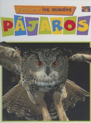 Dianne James, Sarah Lynn - Pajaros, Inbunden. Tillgänglighet: Tillfälligt slut