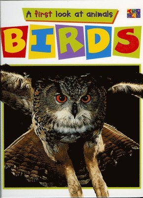 Dianne James, Sara Lynn - Birds, Inbunden. Tillgänglighet: Tillfälligt slut