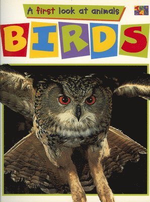Diane James, Sara Lynn - Birds, Häftad. Tillgänglighet: Tillfälligt slut