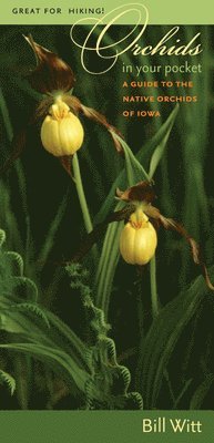 Bill Witt - Orchids in Your Pocket, Häftad. Tillgänglighet: Tillfälligt slut