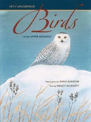 Fifty Uncommon Birds of the Upper Midwest, Inbunden. Tillgänglighet: Tillfälligt slut