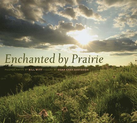 Osha Gray Davidson - Enchanted by Prairie, Inbunden. Tillgänglighet: Tillfälligt slut
