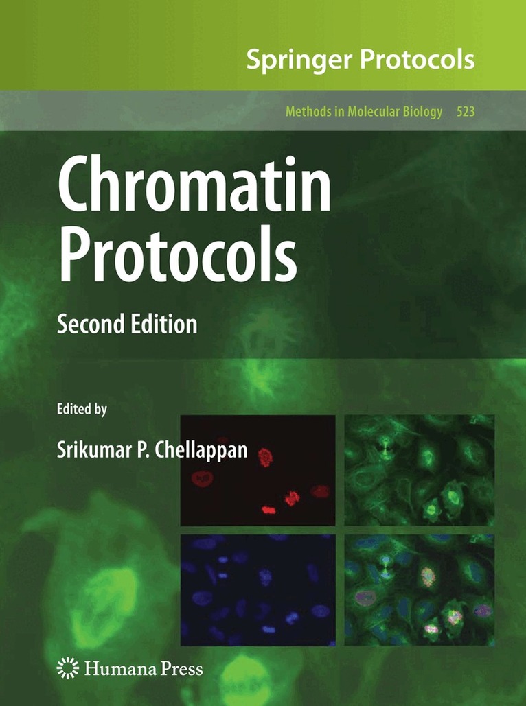 Srikumar P. Chellappan - Chromatin Protocols, Inbunden