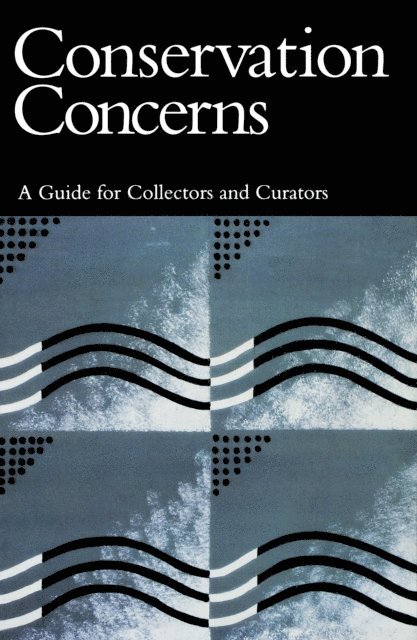 Konstanze Bachmann - Conservation Concerns, E-bok