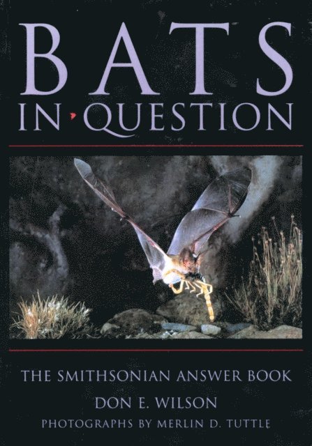 Don E. Wilson - Bats in Question, E-bok