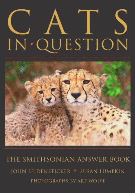 Susan Lumpkin, John Seidensticker - Cats in Question, E-bok