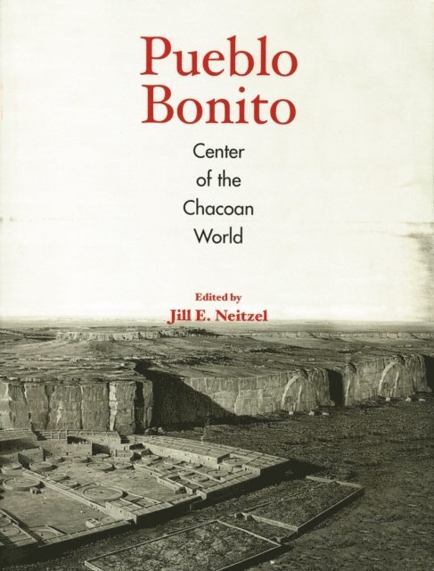 Jill E. Neitzel - Pueblo Bonito, E-bok