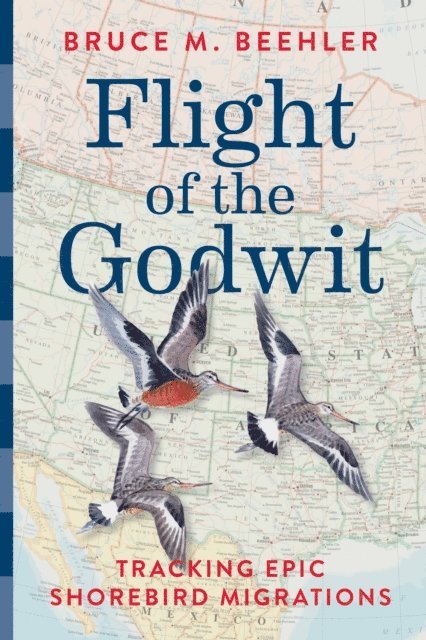 Bruce M. Beehler - Flight of the Godwit, E-bok