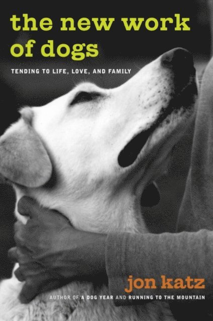 Jon Katz - New Work of Dogs, E-bok