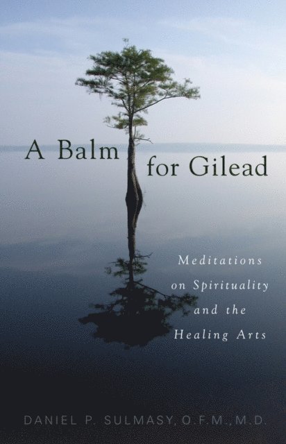 Daniel P. Sulmasy - Balm for Gilead, E-bok