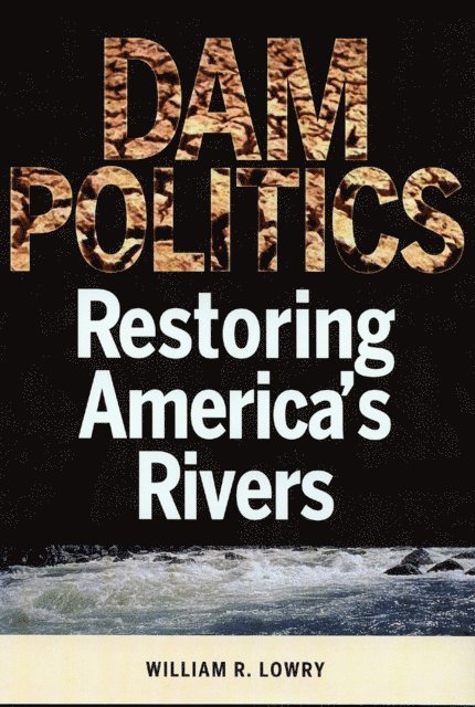 William R. Lowry - Dam Politics, E-bok