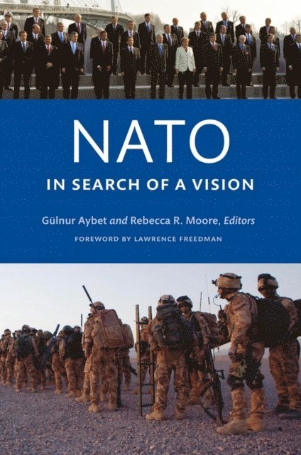 Rebecca R. Moore, Gulnur Aybet - NATO in Search of a Vision, E-bok