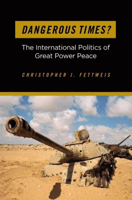 Christopher J. Fettweis - Dangerous Times?, E-bok