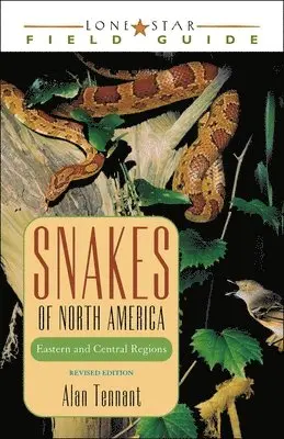 Alan Tennant - Snakes of North America, Häftad. Tillgänglighet: Tillfälligt slut
