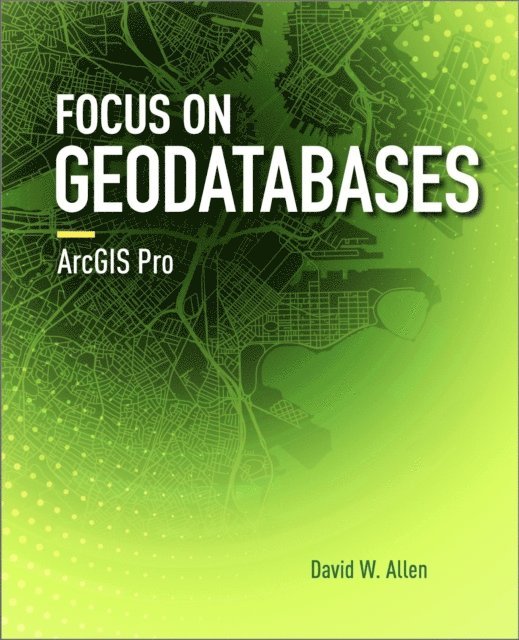 David W. Allen - Focus on Geodatabases in ArcGIS Pro, E-bok