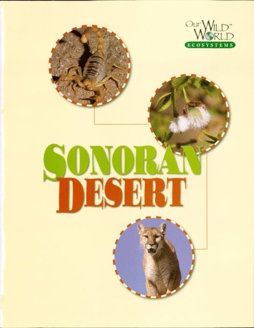 Wayne Lynch - Sonoran Desert, E-bok