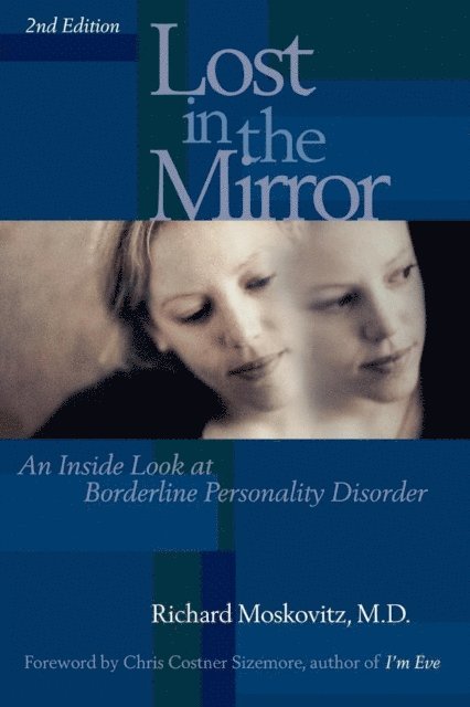 Richard A. Moskovitz - Lost in the Mirror, E-bok