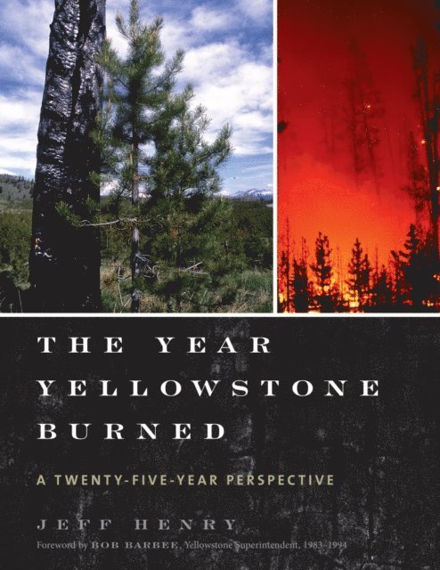Jeff Henry - Year Yellowstone Burned, E-bok