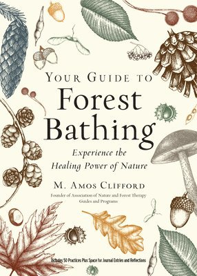 M. Amos Clifford - Your Guide to Forest Bathing (Expanded Edition), Häftad
