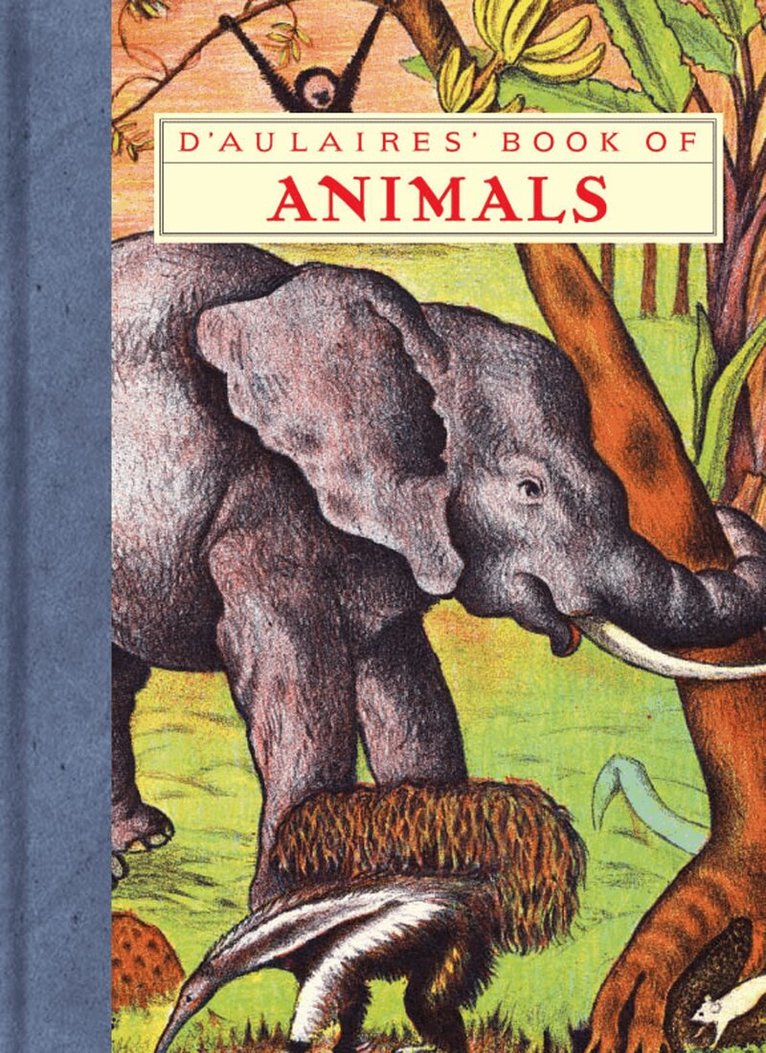 Ingri - D'aulaires' Book Of Animals, Häftad
