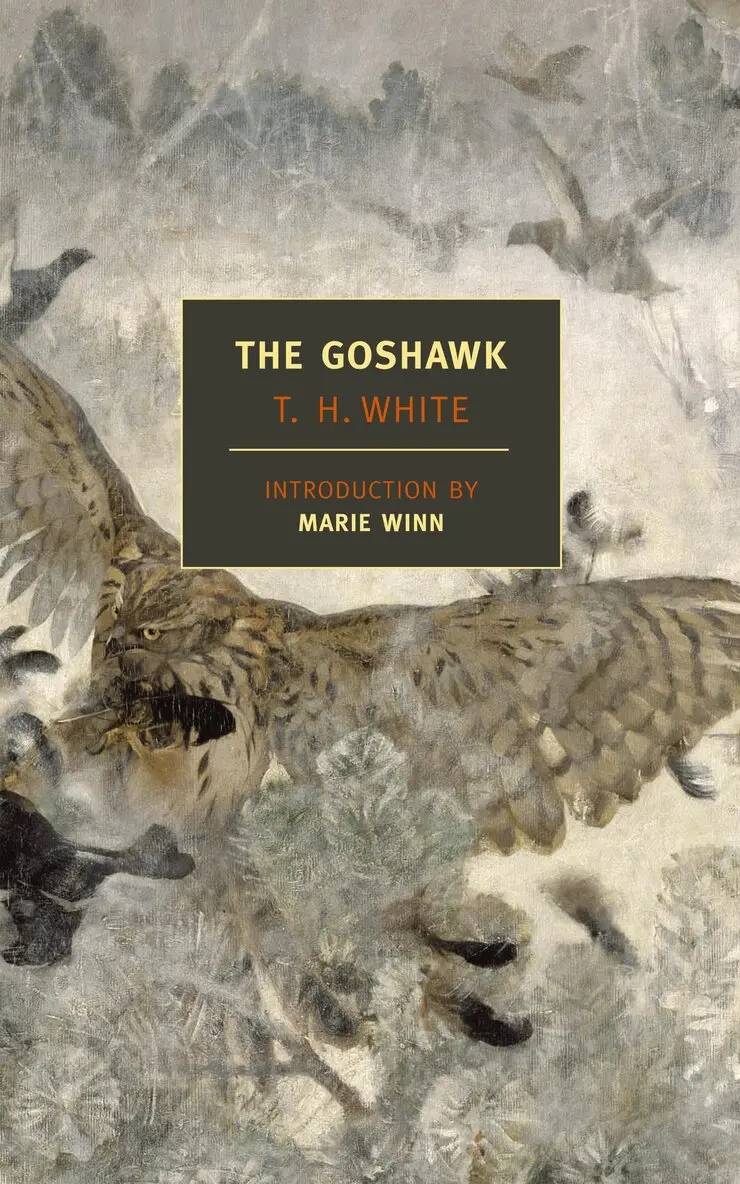Marie Winn, T. H. White, T.H. White - Goshawk, Häftad. Tillgänglighet: Lägg i varukorg