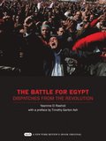Battle for Egypt