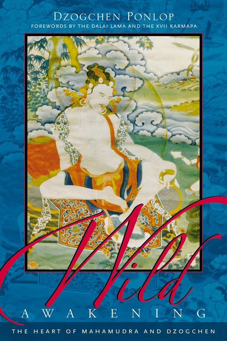Dzogchen Ponlop - Wild Awakening, Häftad