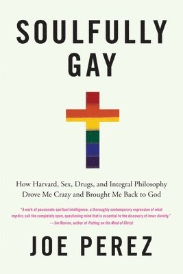Joe Perez - Soulfully Gay: How Harvard, Sex, Drugs, and Integral Philosophy Drove Me Crazy and Brought Me Back to God, Häftad