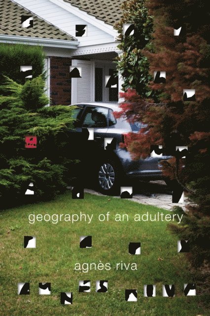 Agnes Riva - Geography of an Adultery, E-bok