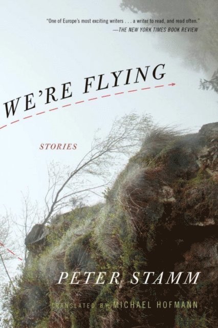 Peter Stamm - We're Flying, E-bok