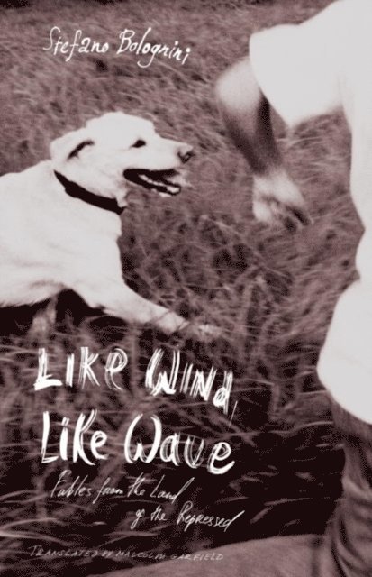 Stefano Bolognini - Like Wind, Like Wave, E-bok