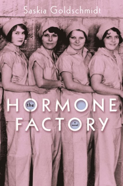 Saskia Goldschmidt - Hormone Factory, E-bok