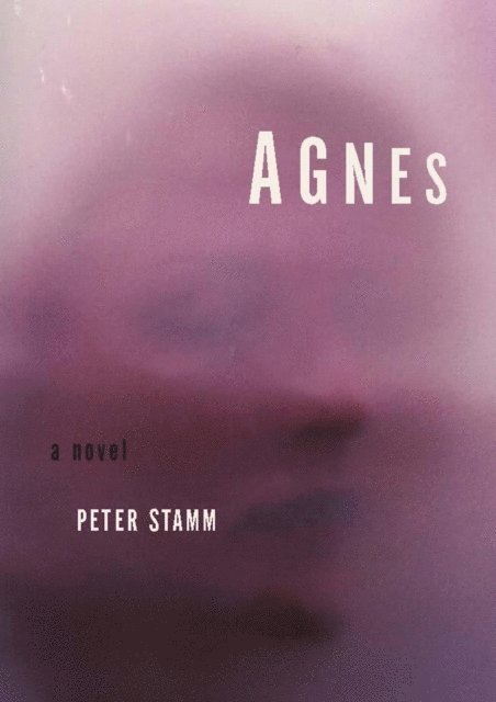 Peter Stamm - Agnes, E-bok