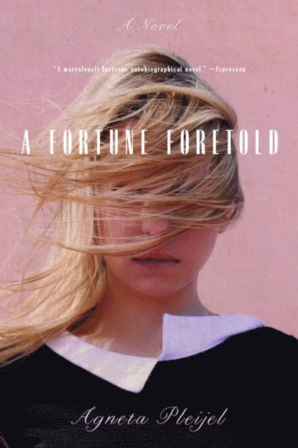 Agneta Pleijel - Fortune Foretold, E-bok