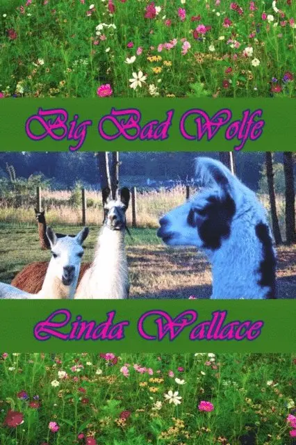 Linda Wallace - Big Bad Wolfe, E-bok. Tillgänglighet: Lägg i varukorg