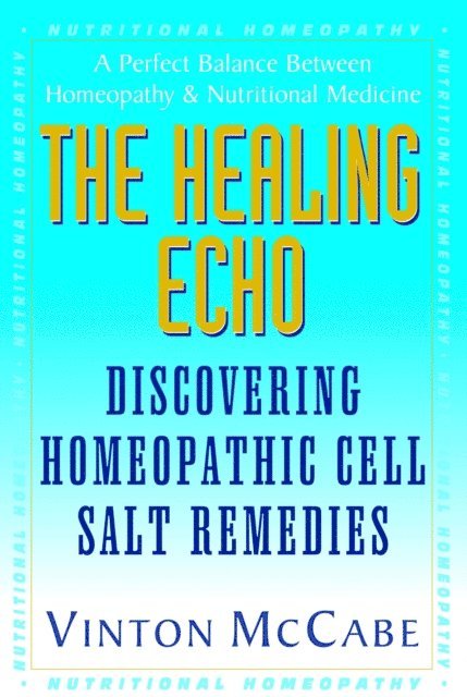 Vinton McCabe - Healing Echo, E-bok