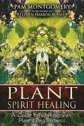 Plant Spirit Healing