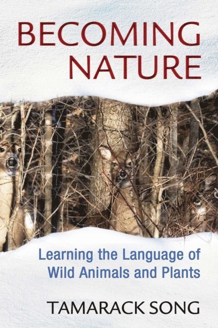Tamarack Song - Becoming Nature, E-bok. Tillgänglighet: Lägg i varukorg