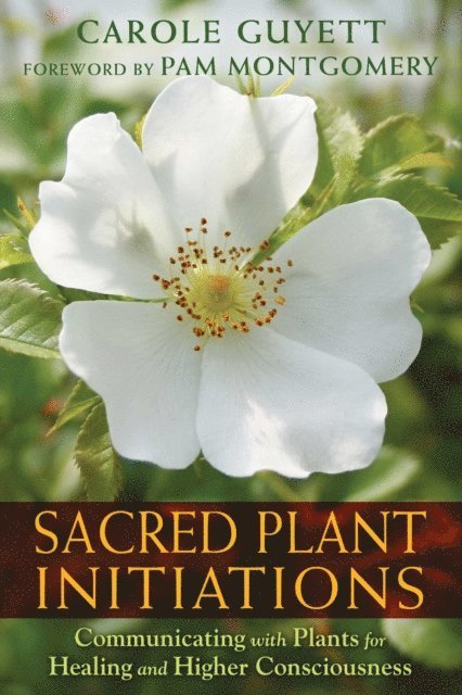 Carole Guyett - Sacred Plant Initiations, E-bok