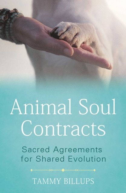 Tammy Billups - Animal Soul Contracts, E-bok