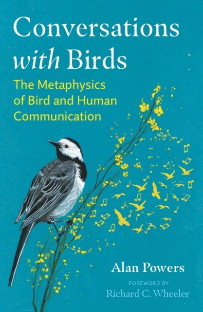 Alan Powers - Conversations with Birds, E-bok