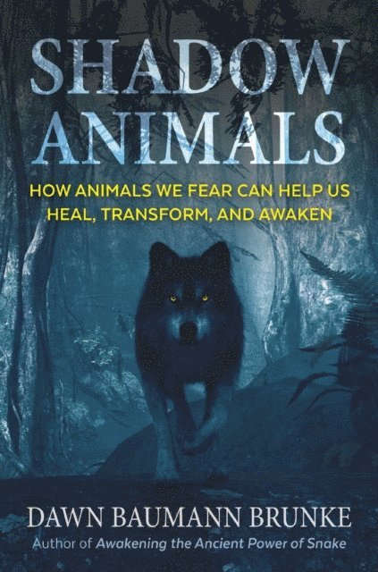 Dawn Baumann Brunke - Shadow Animals, E-bok
