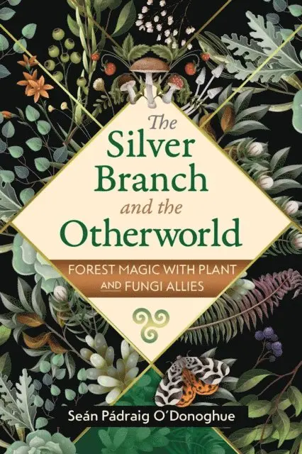 Sean Padraig O'Donoghue - Silver Branch and the Otherworld, E-bok. Tillgänglighet: Lägg i varukorg