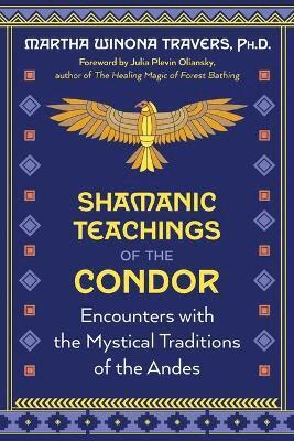 Shamanic Teachings of the Condor