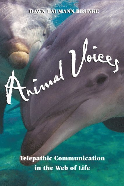 Dawn Baumann Brunke - Animal Voices, E-bok