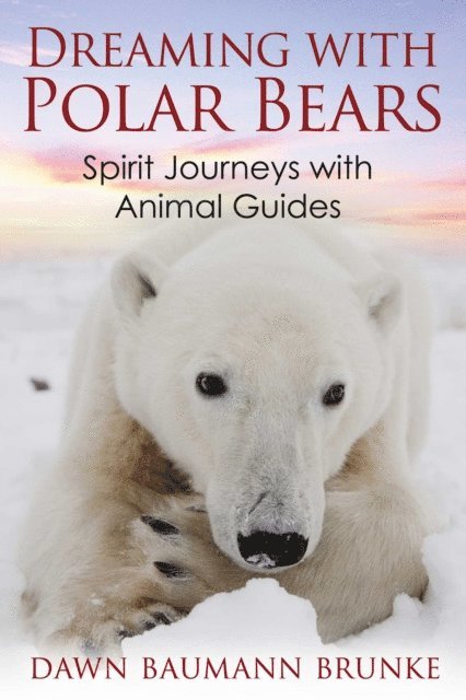Dawn Baumann Brunke - Dreaming with Polar Bears, E-bok