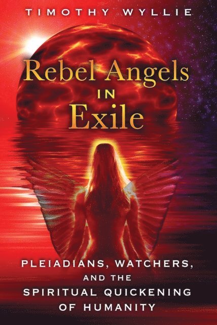 Timothy Wyllie - Rebel Angels in Exile, E-bok