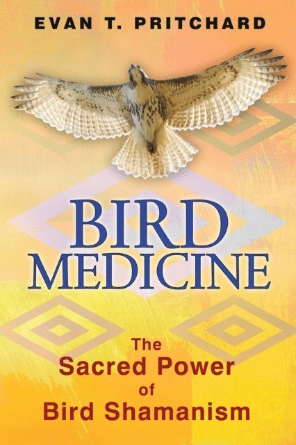 Evan T. Pritchard - Bird Medicine, E-bok