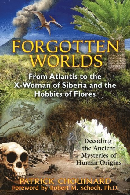 Patrick Chouinard - Forgotten Worlds, E-bok. Tillgänglighet: Lägg i varukorg